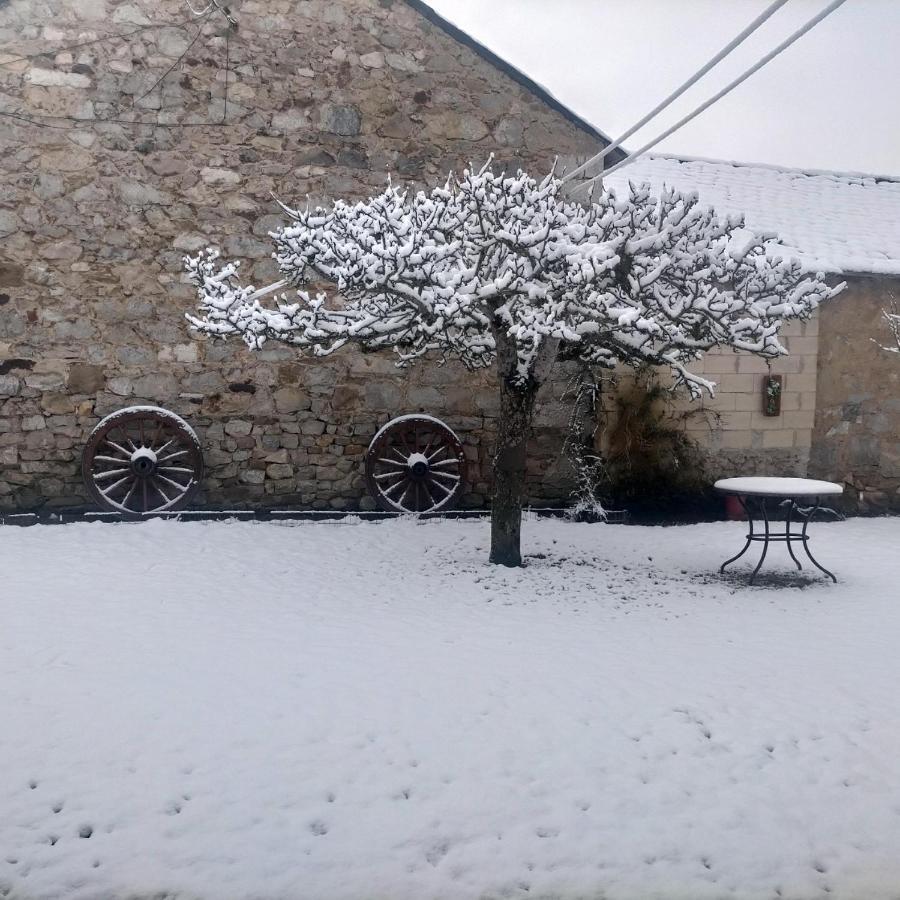 Turismo En Babia Bajo Nidos