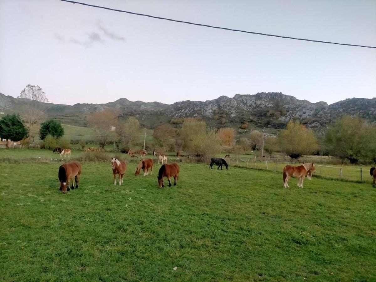 Holiday home Turismo En Babia Bajo Nidos *